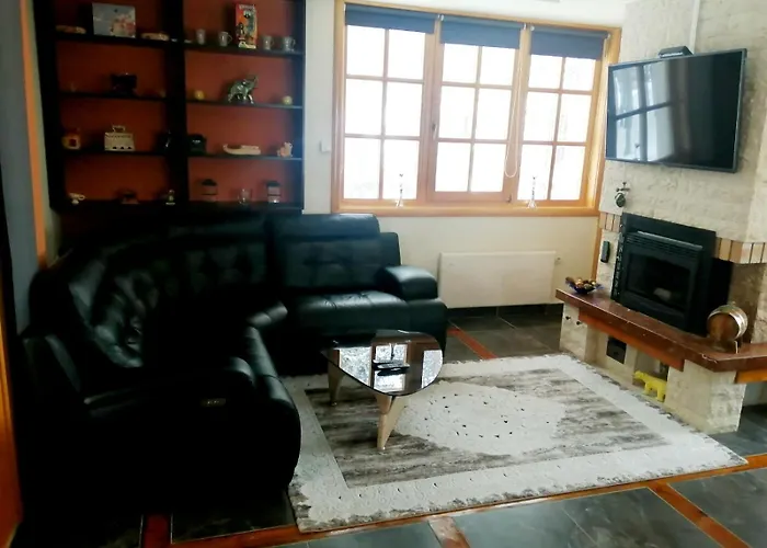 Vila Panic Zlatibor