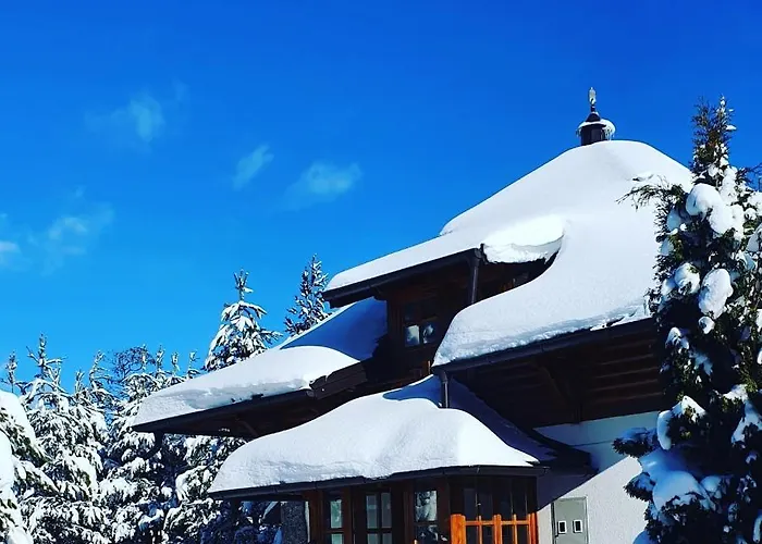 Vila Panic Zlatibor