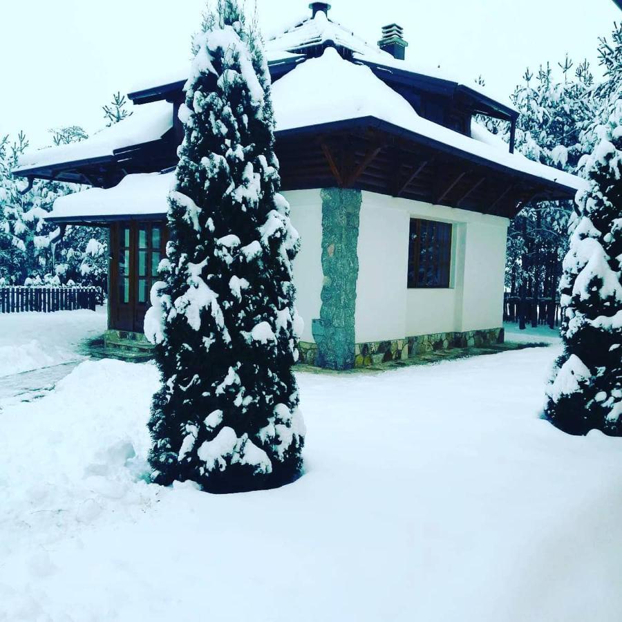 Villa Panic Zlatibor